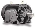 Teco Westinghouse  MAX-HT High Torque Crusher Motor, TEFC