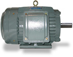 Teco Westinghouse 2 Speed, 1 Winding, Variable Torque Motor